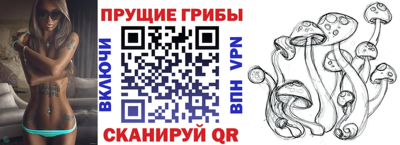 Галлюциногенные грибы Magic Shrooms  Краснообск 