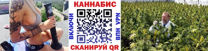 Бошки марихуана индика  закладка  Краснообск 